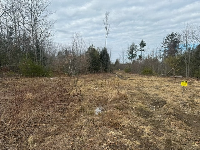 Lot Clearing - Before