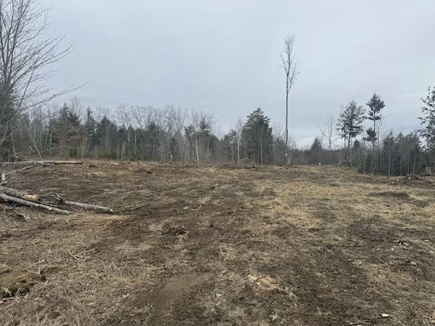 Lot Clearing - After